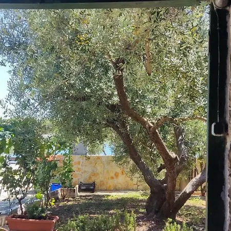 Apartman Dragica S1 *