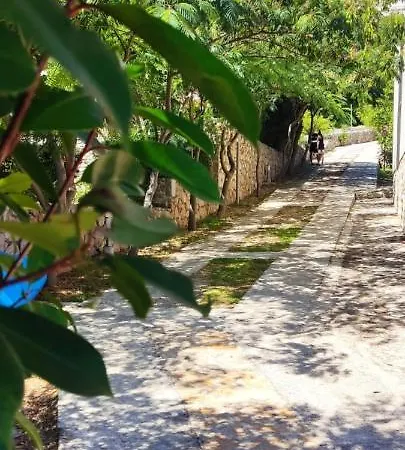 Appartement Dragica S1 Pašman