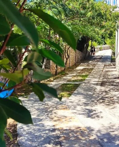Appartement Dragica S1 Pašman